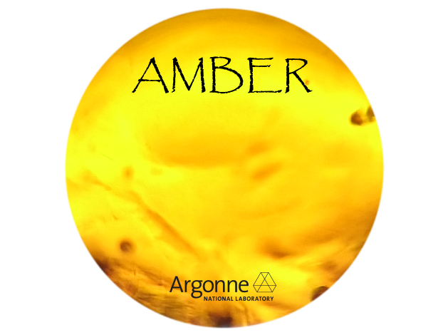AMBER Support