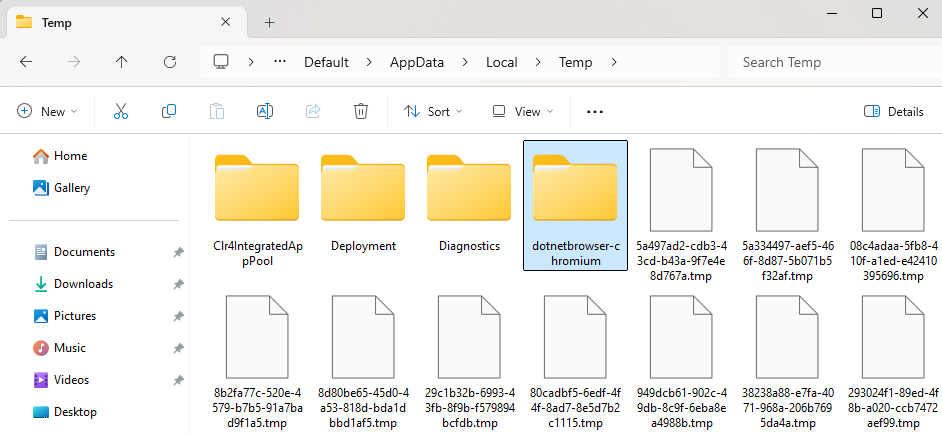 TempDirectoryDotNetBrowserChromium.png